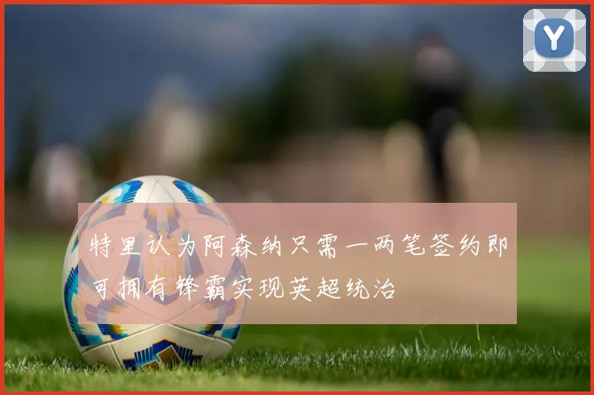特里认为阿森纳只需一两笔签约即可拥有锋霸实现英超统治